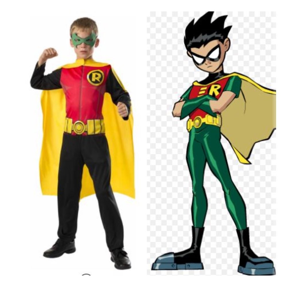 Robin Costume